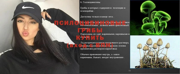 mix Киренск